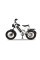 Електровелосипед Minako FOX-S 20" (1000W; 15 А·год; 48 В)