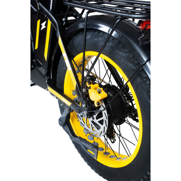 Електровелосипед Minako F10 Dual 20" (240W; 20 А·год; 48 В)