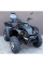 Квадроцикл Linhai Z210 чорний