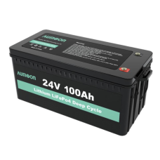 Акумулятор літій-залізо-фосфатний ENERSUN LiFePO4 24V 100Ah із вбудованою BMS