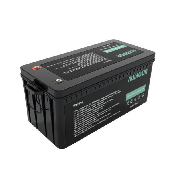 Акумулятор літій-залізо-фосфатний ENERSUN LiFePO4 24V 100Ah із вбудованою BMS