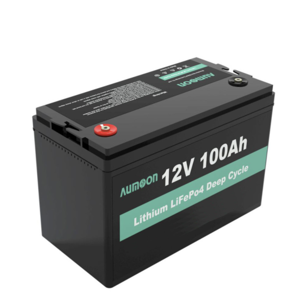 Акумулятор літій-залізо-фосфатний ENERSUN LiFePO4 12V 100Ah із вбудованою BMS