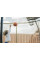 Батут Hasttings Air Game Basketball (4,6 м)