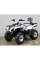 Квадроцикл Linhai Z180 білий