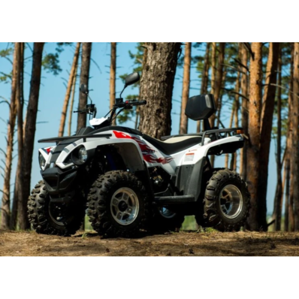 Квадроцикл Linhai Z180 білий