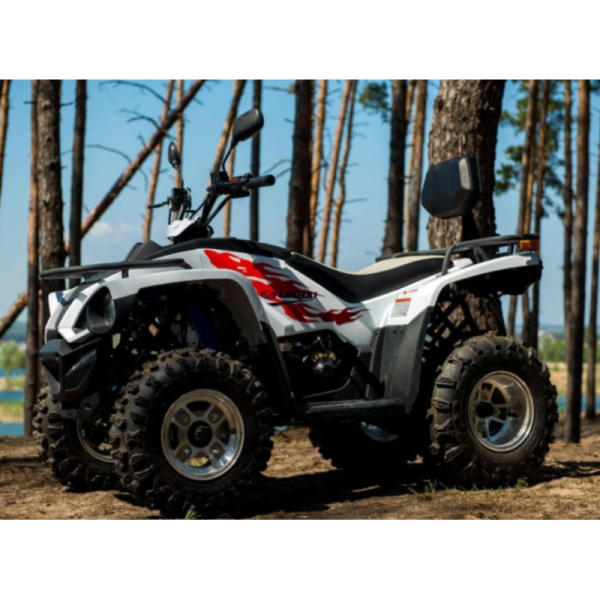 Квадроцикл Linhai Z180 білий