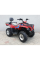 Квадроцикл Linhai Z180 червоний