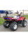 Квадроцикл Linhai Z180 червоний