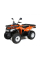 Квадроцикл Loncin LX 200