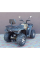 Квадроцикл Linhai M170 Eyas Сафарі