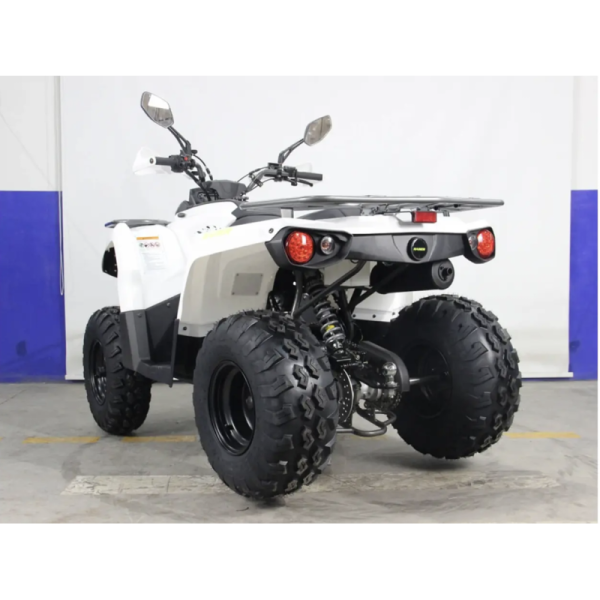 Квадроцикл HAMER 200 L