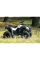 Квадроцикл SkyBike Hyper 150 Camo
