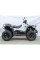 Квадроцикл Linhai M550L EFI
