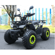 Квадроцикл дитячий Forte Hunter 125 чорний