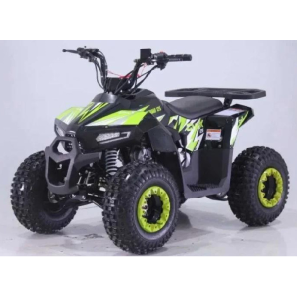 Квадроцикл дитячий ORIX CHIX 110