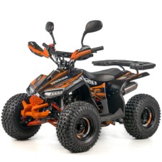 Квадроцикл дитячий ASIX MUDDY 110 см³ E-Start