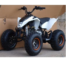 Квадроцикл Speed Gear Madix 125