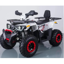 Квадроцикл Forte Braves 200