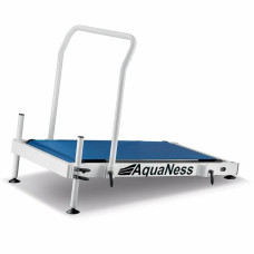 Аквадоріжка Aquaness T1