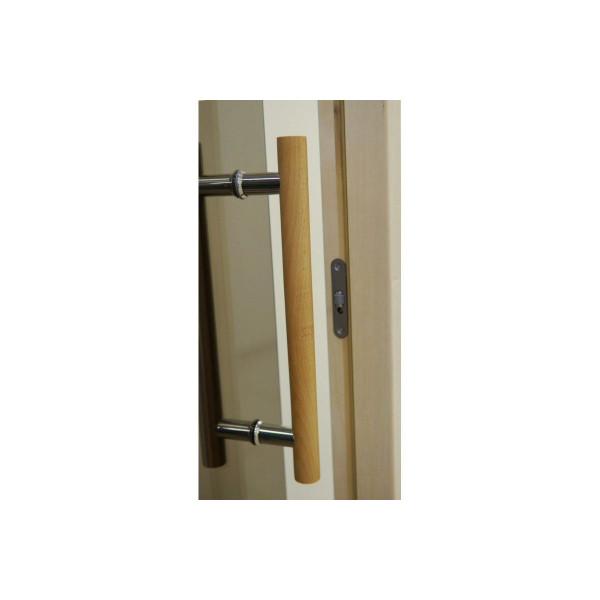 Двері для лазні та сауни Tesli Steel Sateen RS 1900 x 700