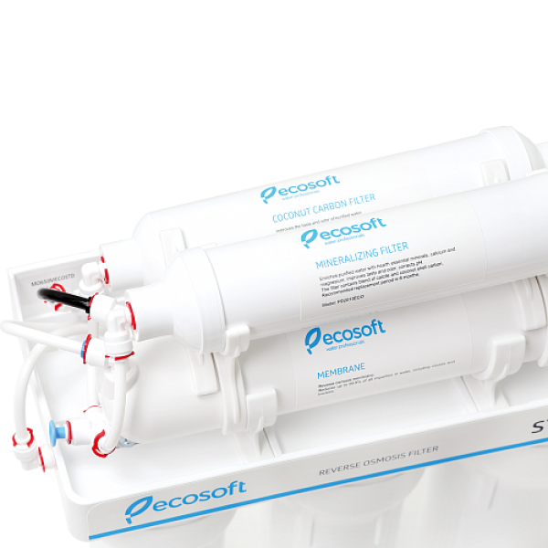 Фільтр зворотного осмосу Ecosoft Standard 6-50M із мінералізатором