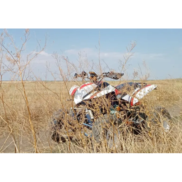 Квадроцикл Bashan BS250S-11B 2016