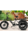 Триколісний електровелосипед трицикл Grizzly M5 700 W