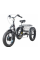Триколісний електровелосипед Ardis FAT 48V 500W LCD PAS