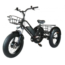 Триколісний електровелосипед VELOMOTOR СARGO 36-48V 500W з кошиком