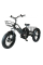 Триколісний електровелосипед VELOMOTOR СARGO 36-48V 500W з кошиком