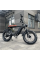 Електровелосипед VOLTO Capital 20" (1000W; 13 А·год)