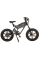 Електровелосипед фетбайк KUGOO T-01 20" (500W; 13 А·год; 48 В)