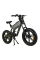 Електровелосипед фетбайк KUGOO T-01 20" (500W; 13 А·год; 48 В)