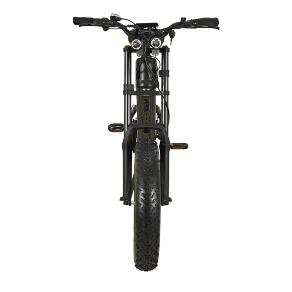 Електровелосипед фетбайк KUGOO T-01 20" (500W; 13 А·год; 48 В)