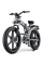 Електровелосипед фетбайк ENGWE X-26 Dual Batteries (1000 Вт; 19,2 А · год + 10 А · год; 48 В)