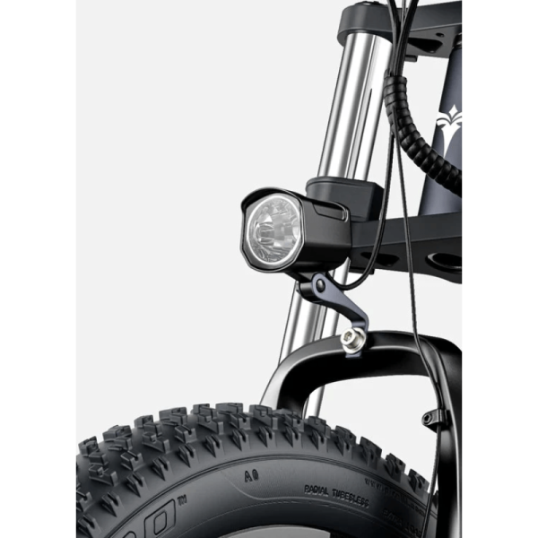 Електровелосипед фетбайк ENGWE X-26 Dual Batteries (1000 Вт; 19,2 А · год + 10 А · год; 48 В)